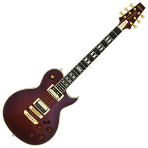 AriaProII PE-R100 AB Made in Japan AeB[NuE AA X|[^Cv GLM^[ yz