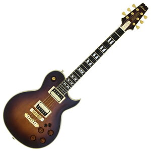 AriaProII PE-R100 SA Made in Japan X[L[Ao[ AA X|[^Cv GLM^[ yz