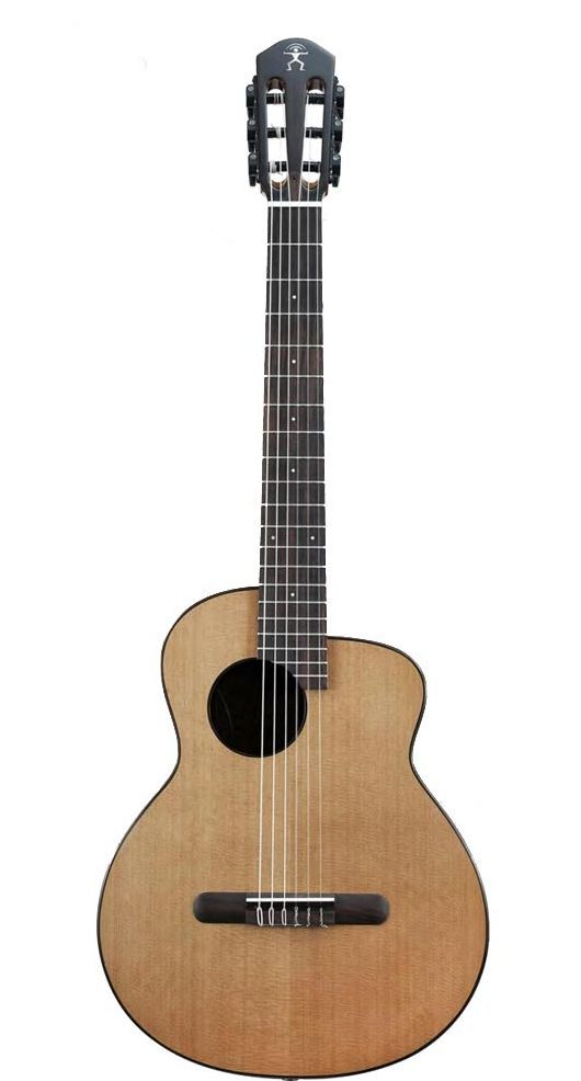 aNueNue aNN-MN14E エレガットギター 素晴らしい ナイロン弦モデル バードギター 贈物 アヌエヌエ 送料無料 新品