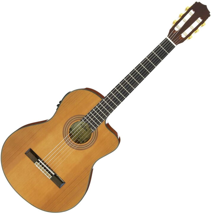 楽天市場】ARIA A-35CE アリア クラシックギター ナイロン弦 