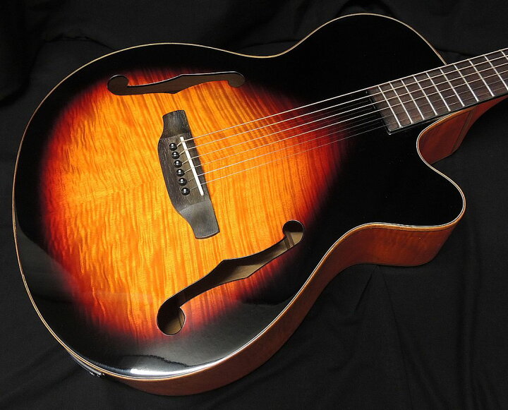 楽天市場】【ポイント3倍】【特別カラー】ARIA FET-F2 BSG Fホール  