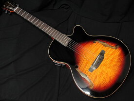 【特別カラー】ARIA FET-F2 BSG Fホールエレアコ アコースティックギター オリジナルカラー ブラウンサンバースト グロスフィニッシュ【送料無料】【祝!!楽天ランキング1位】
