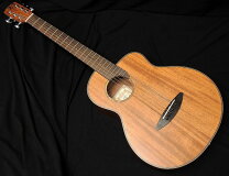 楽天市場】anuenue bird guitar ann－m2の通販