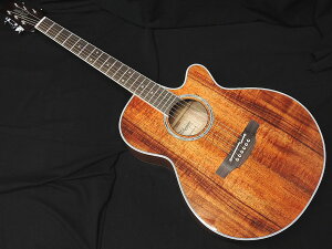 タカミネ 100シリーズ PTU131KC [N] (アコースティックギター) 価格 