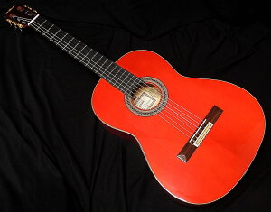 Esteve GIPSY KINGS by Andre Reyes Flamenco Guitars GXe AhECGX WvV[ELOX f  tRM^[ XyCyzyj!!yVLO1ʁz