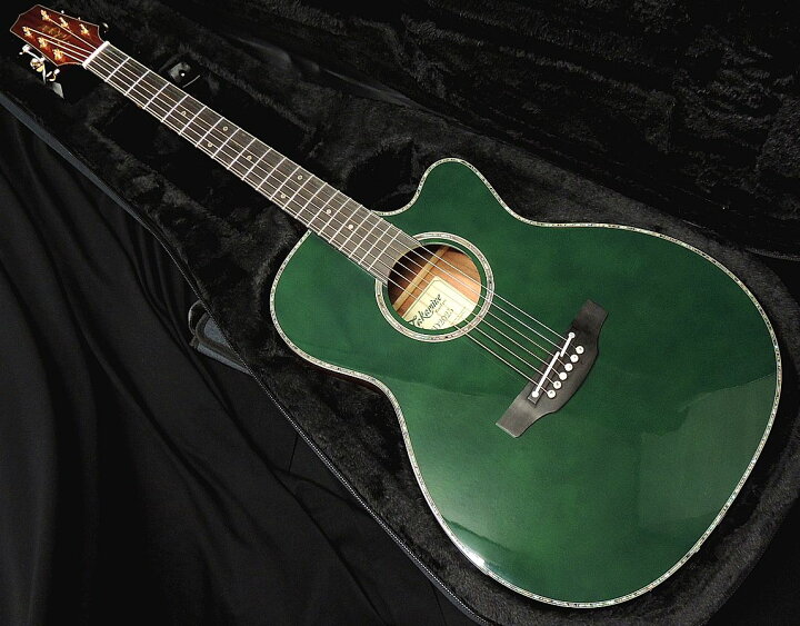 楽天市場】Takamine LTD2025 AEG Antique Evergreen タカミネ 