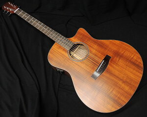 ARIA AF-107KACE MTN GNgbN AR[XeBbNM^[ GAR Aria Dreadnought I[RAyz