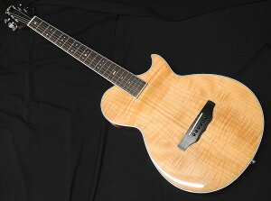 yő2000~OFFN[|zARIA APE-100 N  GAR GNgbN AR[XeBbNM^[ TChTEhz[ Fishman i`yzyj!!yVLO1ʁz