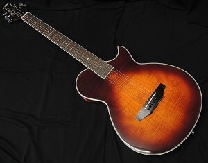 yő2000~OFFN[|zARIA APE-100 TS  GAR GNgbN AR[XeBbNM^[ TChTEhz[ Fishman ^oRTo[Xgyz