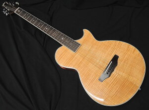 ARIA APE-100 N ���� �G���A�R �G���N�g���b�N �A�R�[�X�e�B�b�N�M�^�[ �T�C�h�T�E���h�z�[�� Fishman �i�`�������y���������z�y�j!!�y�V�����L���O1�ʁz