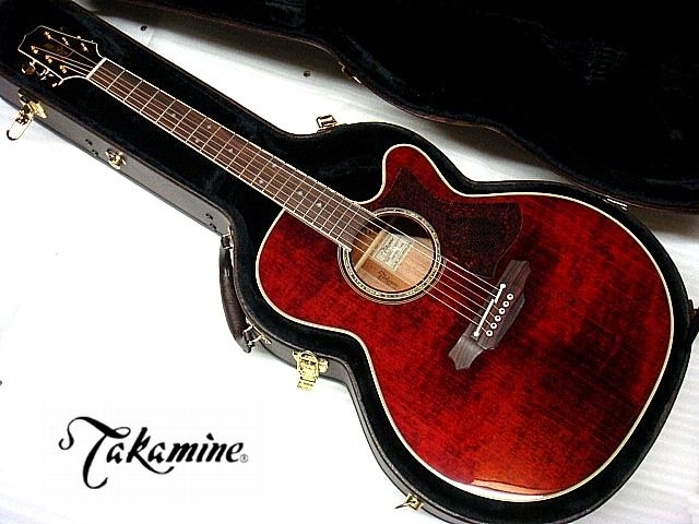 タカミネ 500シリーズ DMP551C [WR] (アコースティックギター) 価格 
