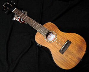 y|Cg3{zKALA KA-KOA-CE J EN Satin Hawaiian Koa Series nCARA{fB RT[g GLdl PU P[Xtyzyj!!yVLO1ʁz