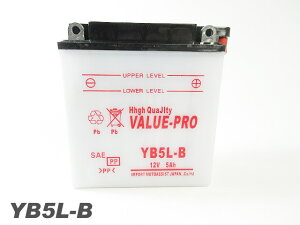 YB5L-ByViOPz ValueProobe[ ݊FNS125R oCAX TL125[TL125H] [h125[JF01]