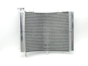 �z���_�����݊� ���W�G�[�^�[ ���W�G�^�[ �� �V�i �A���~�����W�G�[�^�[COMP NSR250R MC21 MC28