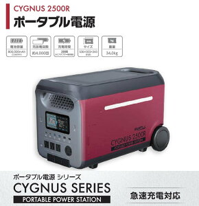 C`lANZX |[^ud CYGNUS PB-2500R Vi