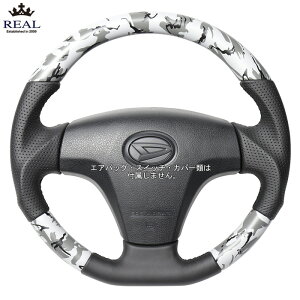 REAL O[ʃvg [nC[bggbN S500P S510P Op] A XeAO (E)