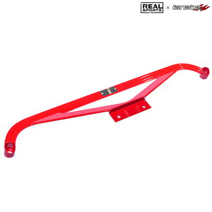 REALSPORTS×TANABE tAu[X A [VrbN ^CvR FK8] AX|[c×^ix R{p[c Vi