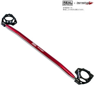 REALSPORTS×TANABE 3D^[o[ A [S660 JW5] AX|[c×^ix R{p[c Vi