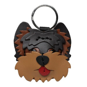 {v ̃L[z_[  Ck  Č nXL[ ViEU[ ` t`uhbO r[O L[z_[ L[O L[`[ U ObY v v v U[ ACe 