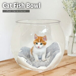 L̃{[ {E ^ B ybgp ybgƋ Lpi  ysz