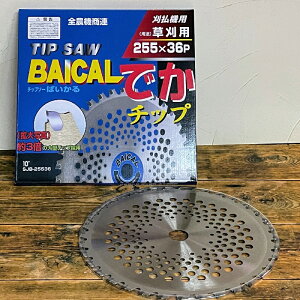 p `bv\[ ΂ ł`bv 255mm×n36P