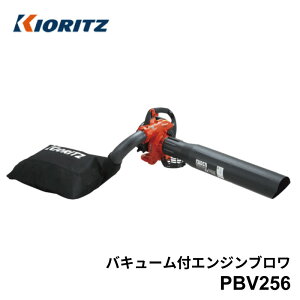  GW u[ oL[@\t O|@ PBV256