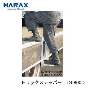 nbNX gbNXebp[ TS-800D AI|^Cv