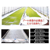 プール育苗用シート