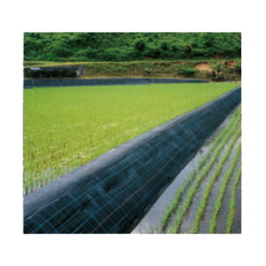 hV[g AOV[g ihV[gj 2m×100m  ͖hV[g GV[g Gh~V[g V[g h V[g [ Gh~ G΍ G} G Ȃ  h