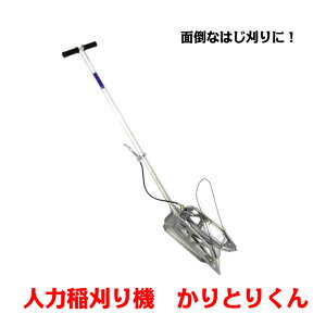 IMnH Ƃ肭 l͈@ n  @ _@ 蓮 y ϋv pt ƌ