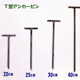 T型アンカーピン 30cm×10mm 10本 防草シート ピン 杭 釘 雑草防止シート 防草シート用 防草シート 除草シート 園芸シート シート押さえ 固定 固定用 固定ピン 押さえ杭 押さえピン マット 人工芝 農業用ネット 雑草対策 長持ち 農業 農業用品 農作業 農家 園芸 園芸用品 庭