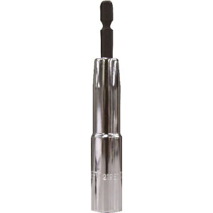 SIGNET VOlbg 12mm 21981 dCpNghCo[p \Pbgrbg