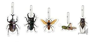Ԃ  LIFE with INSECT G ANL[z_[ 5Zbg yNK^EJugVEN}[~EXXo`EgmT}ob^z 2020N730@
