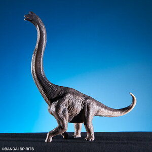 Ԃ  NNイ!! F uLITEX tBMA S1