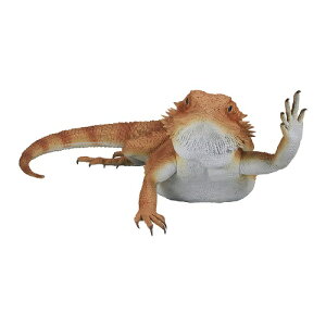 一番くじ 爬虫類&両生類〜Tiny Friends〜 ラストワン賞 フトアゴヒゲトカゲ フィギュア アームウェービングver.