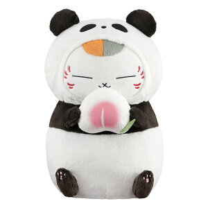 Ԃ ĖڗFl jR搶ƈ̂@A p_ jR搶ʂ