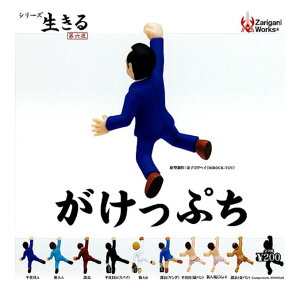 yNzUKj[NXv[c@V[Y  Z  ƂՂ S9Zbg(tRv) K`K` JvZgC@L^Nu@~j`A