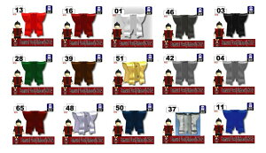 JX^S JX^p[c LEGO  TC@wHD ZC wʂɋ|A_z_[\