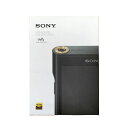 【新品】SONY ソニー ウォークマン WM1シリーズ NW-WM1AM2