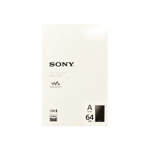 yVizSONY fW^I[fBIv[[ Walkman EH[N} NW-A307 LC