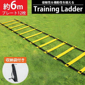 【4/1-4/30限定●全品最大P23倍!】ラダー トレーニング 6m トレーニングラダー プレート12枚 軽量 瞬発力 収納袋付き サッカー バスケット リハビリ ダイエット 筋トレ