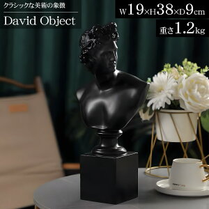 ySiőP23{I1101:59܂Łz_rf u IuWF G  38cm ~PWF 㒊ی|p oXg p ÑMV I[ig ΍p l  u  DO-25BK