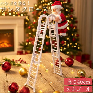 ySiőP23{I1101:59܂ŁzT^N[X ͂ l` IuWF NX}X    yt v[g T^ C~l[V `[tCg NX}Xh[