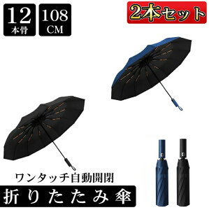 ySiP19{I11܂ŁzIׂ3F 2{Zbg Mtg ܂肽ݎP y 傫 J P ^b` Jp JP P H ϋ ܂ݎP ʋ ʊw rWlX  12{ 