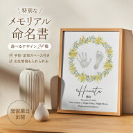 命名書 3枚セット 命名紙 手形 足形 スペース付き A4 赤ちゃん 新生児 お七夜 出産祝い ニューボーンフォ…
