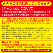 PSP☆DJ MAX PORTABLE HOTTUNES Limited Edithion 海外版 アジア