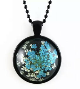 N[| {̂ hCXv[t[AeB[Ny_g lbNXn[oE(AW{) lbNX vU[uht[ y_g  {^jJ {^jJ h