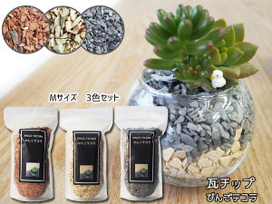 `bv т eR MTCY 3F 600g Zbg ϗtA v^[ Jo[ 킢 TCN