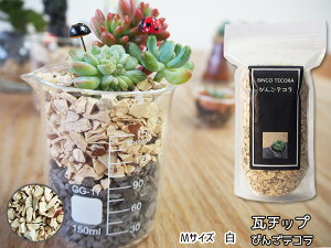 `bv т eR MTCY  600g ϗtA v^[ Jo[ 킢 TCN