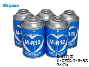 R12 Ή t J[GAR N[[KX GARKX } 5{ M-R12 R12 
